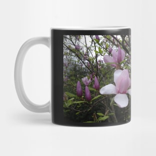 Purple Flowers in Spring Mug